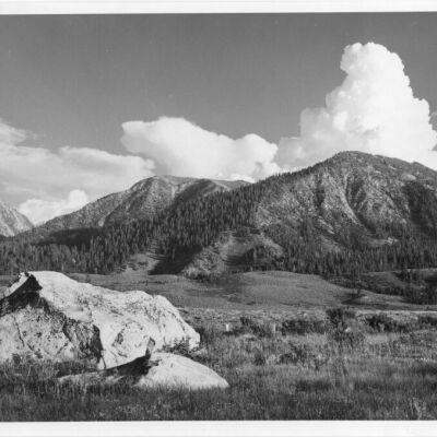 Print, Photographic