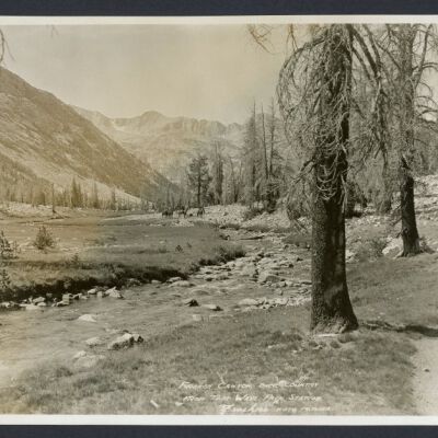 Print, Photographic