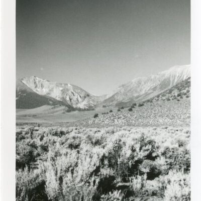 Print, Photographic