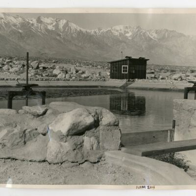 Print, Photographic
