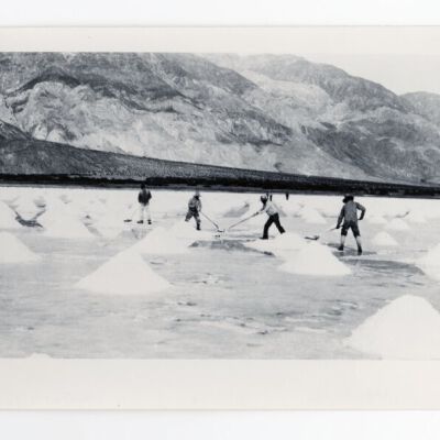 Print, Photographic