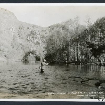 Print, Photographic