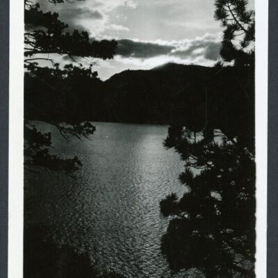 Print, Photographic