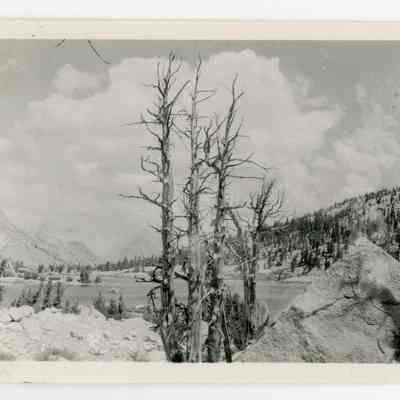 Print, Photographic