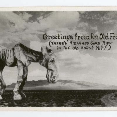 SCANNED FROM ANOTHER SOURCE, SAME IMAGE: Resolution: 800 dpi