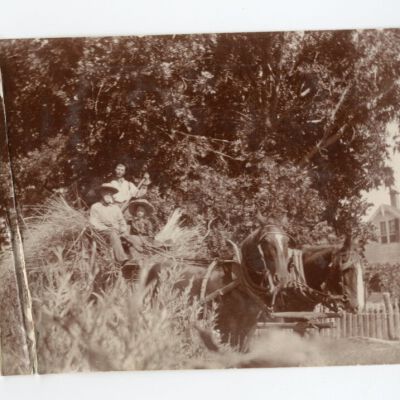 Print, Photographic