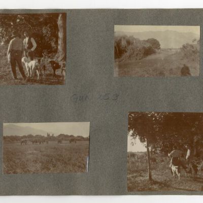 Print, Photographic