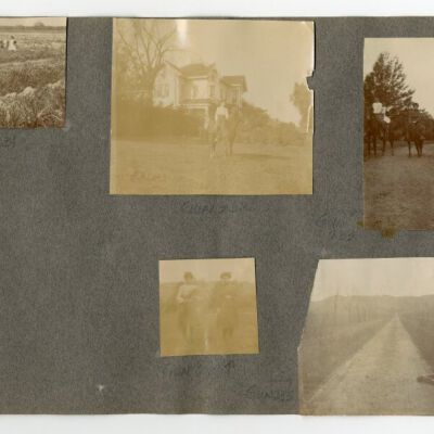 Print, Photographic