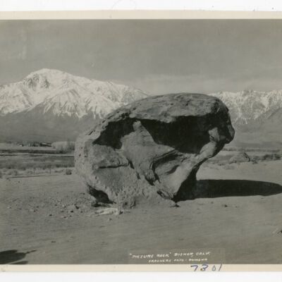 Print, Photographic