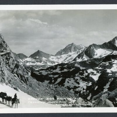 Print, Photographic