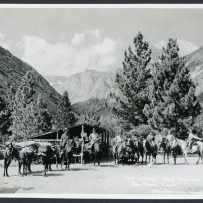 Print, Photographic