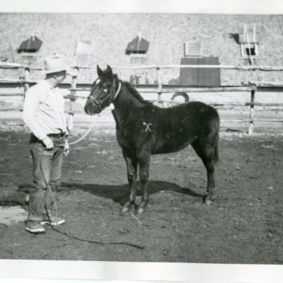 Print, Photographic