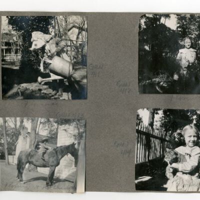 Print, Photographic