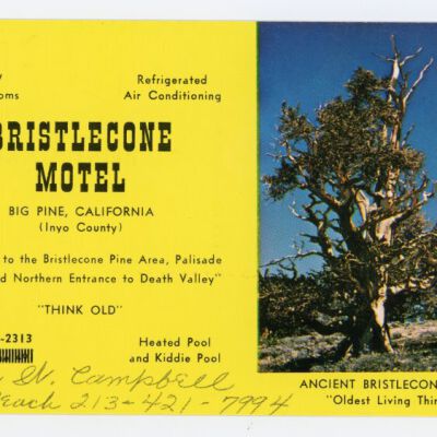 Print, Postcard