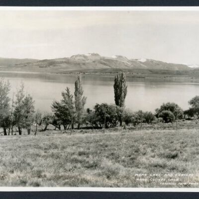 Print, Photographic