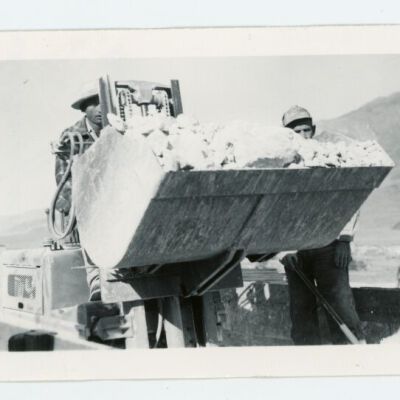 Print, Photographic
