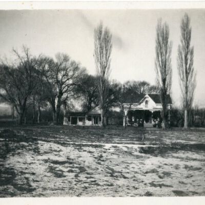 Print, Photographic