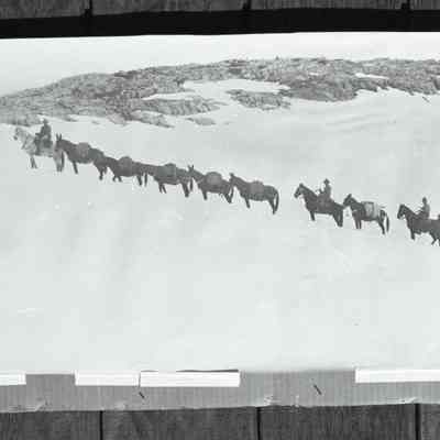 Print, Photographic