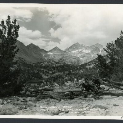 Print, Photographic