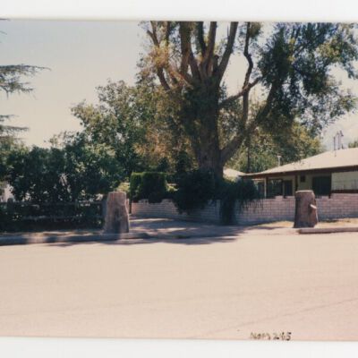 Print, Photographic