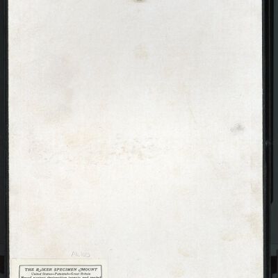 Resolution: 100 dpi