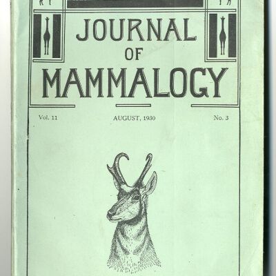 Journal of Mammalogy, Vol. 11, No. 3, August 1930