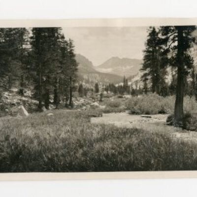 Print, Photographic