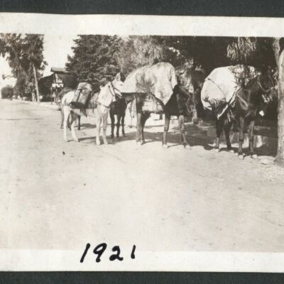 Print, Photographic