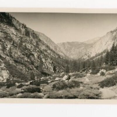 Print, Photographic