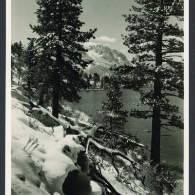 Print, Photographic