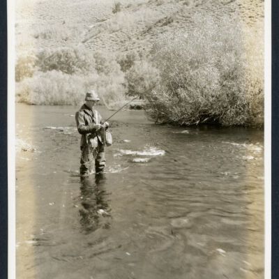 Print, Photographic