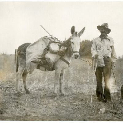 Print, Photographic