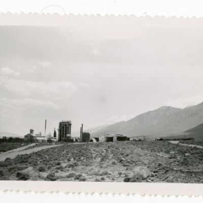 Print, Photographic