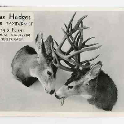 Postcard