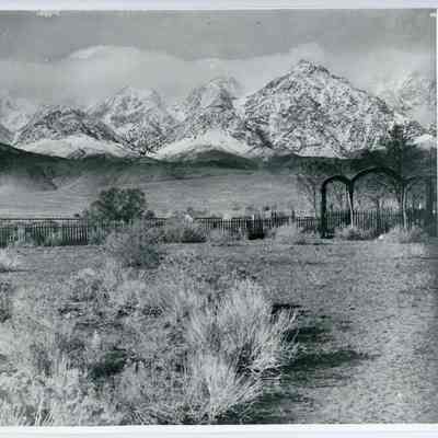 Print, Photographic