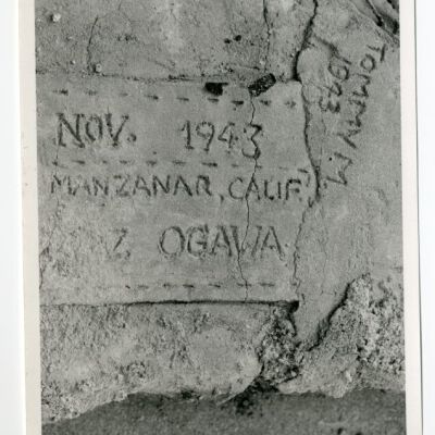 Print, Photographic