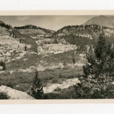Print, Photographic