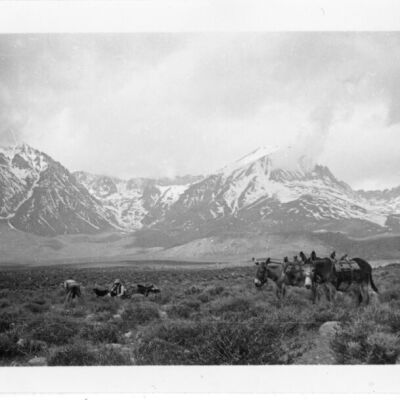 Print, Photographic
