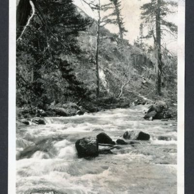 Print, Photographic