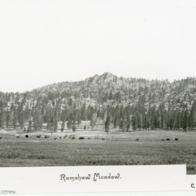 Ramshaw Meadow