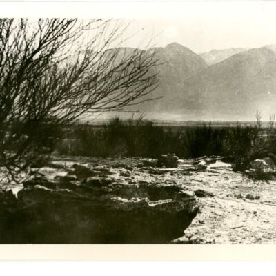 Print, Photographic