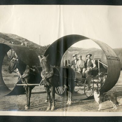 Print, Photographic