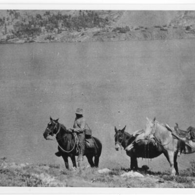 Print, Photographic