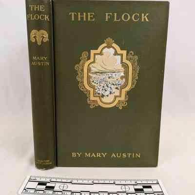 Flock