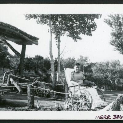 Print, Photographic