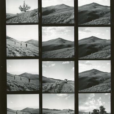 Print, Photographic