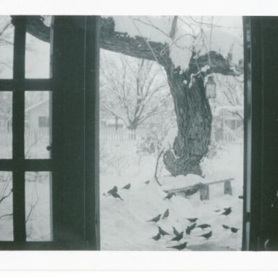 Print, Photographic
