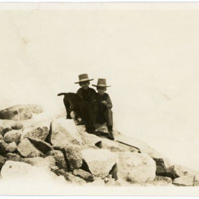 Print, Photographic