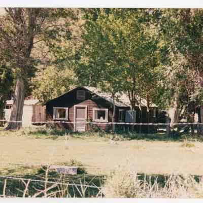 Print, Photographic