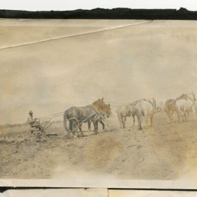 Print, Photographic